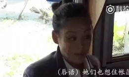 娱乐圈吃瓜许晴,娱乐圈的瓜田，她如何成为焦点？