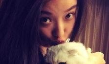 娱乐吃瓜君网红虐猫是谁,娱乐吃瓜君揭露虐猫网红真相