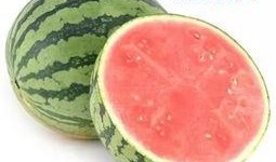 吃瓜比赛技巧,揭秘吃瓜比赛的五大绝技