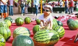 有什么吃瓜网站,一网打尽娱乐圈最新动态