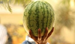 今年娱乐的吃瓜事件