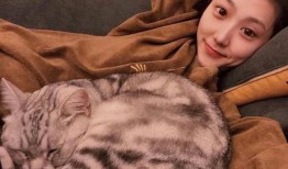 娱乐吃瓜君网红虐猫是谁,娱乐吃瓜君揭露虐猫网红真相