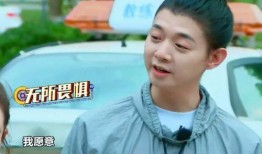 娱乐吃瓜丫胡彦斌,吃瓜群众热议背后的真相