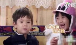 吃瓜姐娱乐,揭秘娱乐圈幕后故事，带你领略明星真实生活