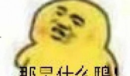 吃瓜的表情该怎么回复,揭秘网络社交中的趣味与心理