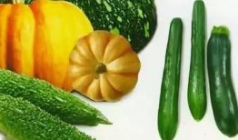 坐地吃瓜的意思,揭秘“坐地吃瓜”的智慧生活态度