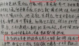 吃瓜比赛作文,一场别开生面的吃瓜大赛盛况